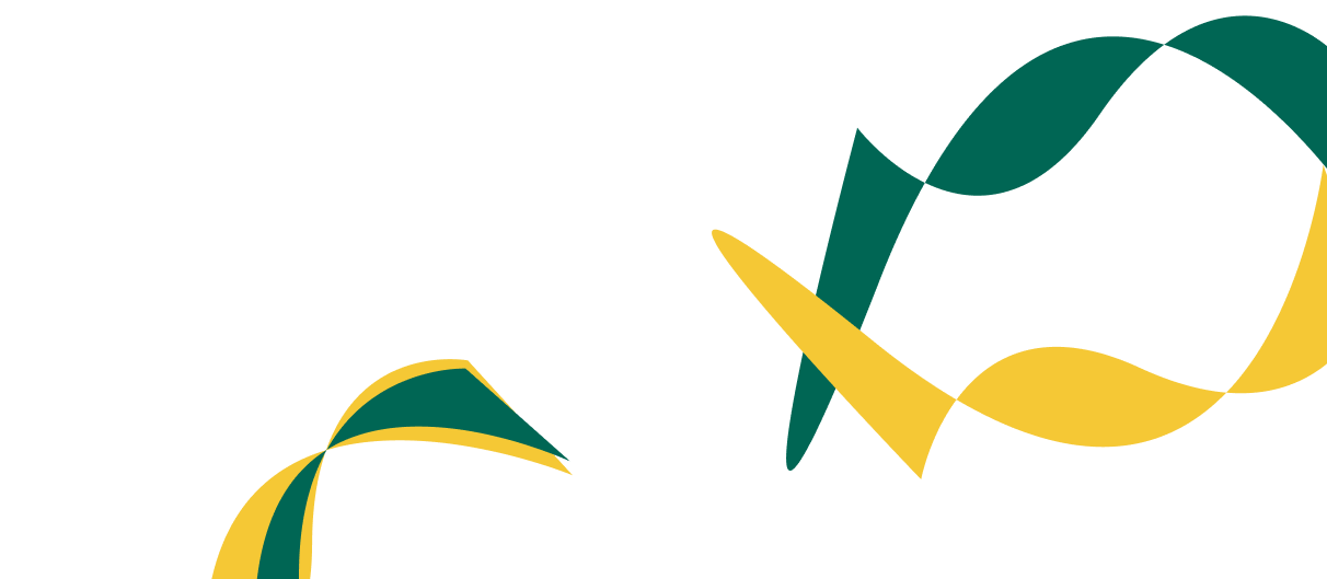 Expert Solutions for Corporate  Financial Success. - 熊猫体育直播APP