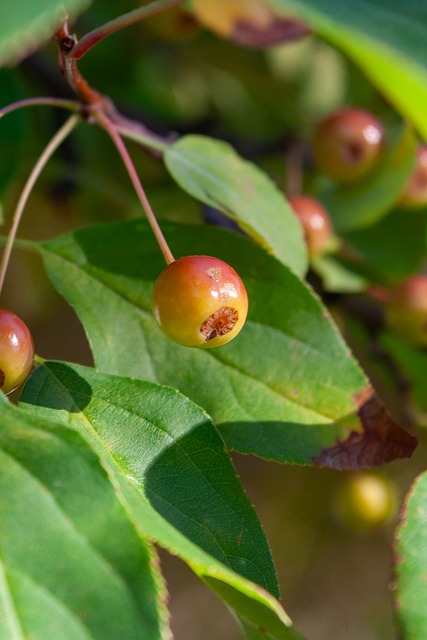 没有及时调 没有及时调
