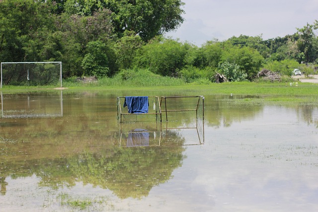 的舞台上 的舞台上