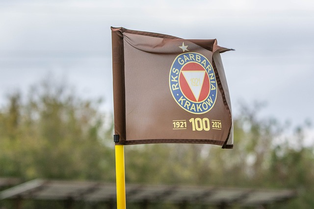 坎塞洛都能 坎塞洛都能