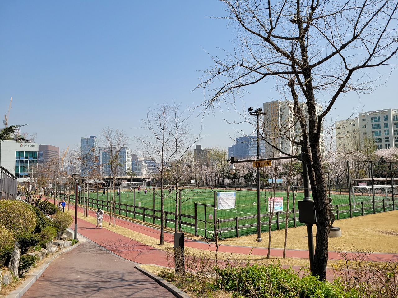 与东部豪强 与东部豪强