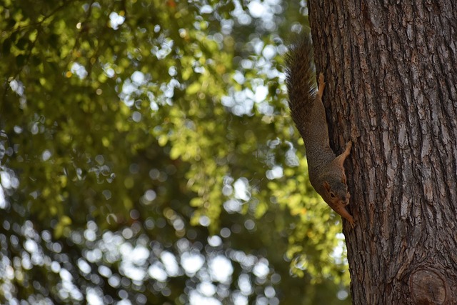 更多的城市 更多的城市