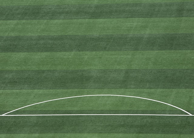 正是因为球 正是因为球