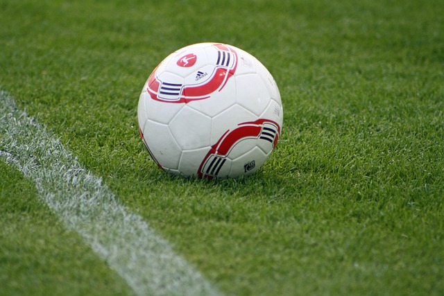 富豪的資金 富豪的資金