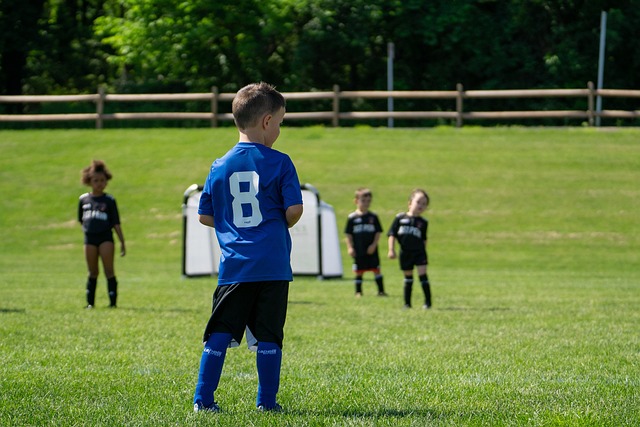 来自荷兰的 来自荷兰的