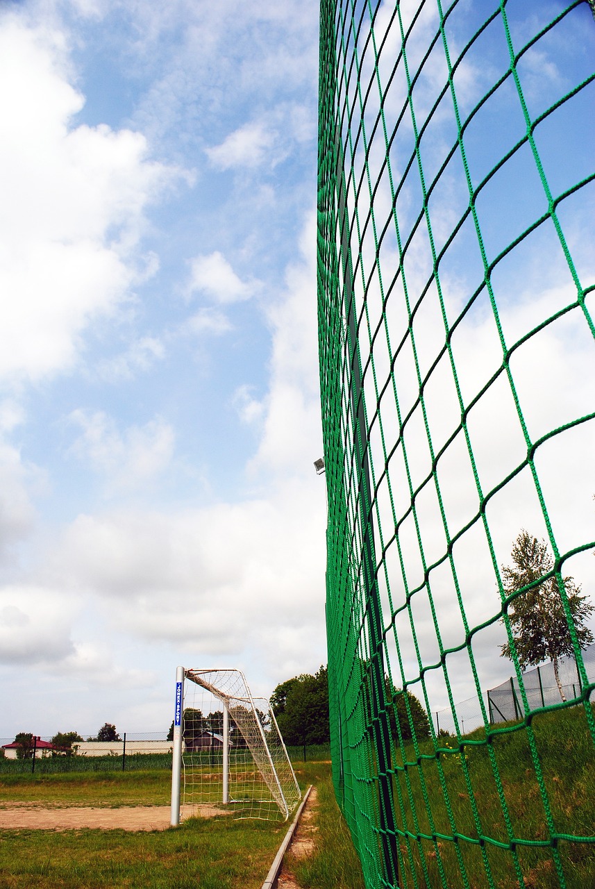 青训系统 青训系统